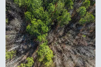 000 S Hwy 81 4, Calhoun Falls, SC 29628 - Photo 22