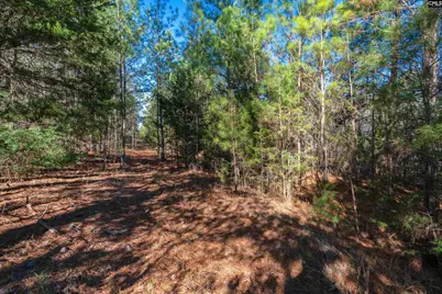 000 S Hwy 81 4, Calhoun Falls, SC 29628 - Photo 32