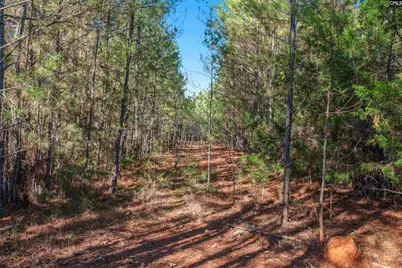 000 S Hwy 81 4, Calhoun Falls, SC 29628 - Photo 26