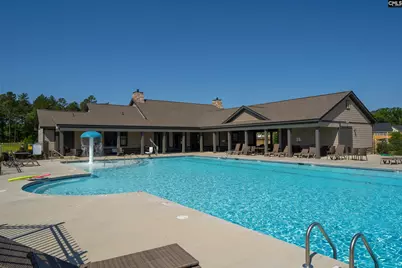28 Starry Night Court, Chapin, SC 29036 - Photo 26