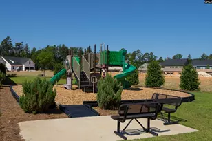 28 Starry Night Ct, Chapin, SC 29036 - Photo 28