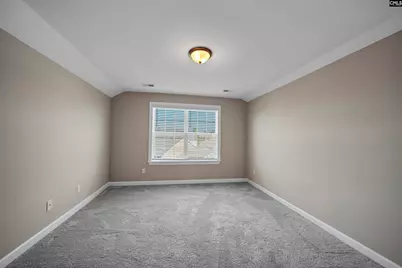 28 Starry Night Court, Chapin, SC 29036 - Photo 20