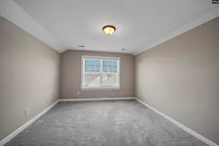 28 Starry Night Ct, Chapin, SC 29036 - Photo 20