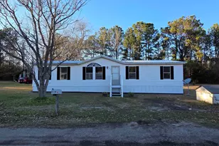 135 Buckeye, Orangeburg, SC 29163 - Photo 2