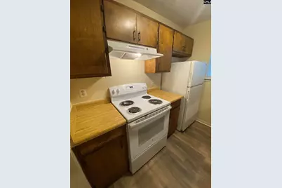 161 Leila Lane, Columbia, SC 29223 - Photo 8