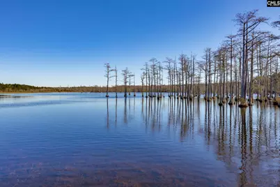 1924 Niagara Drive, Camden, SC 29020 - Photo 58