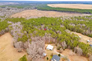 2191 Smallwood Rd, Ridgeway, SC 29130 - Photo 44