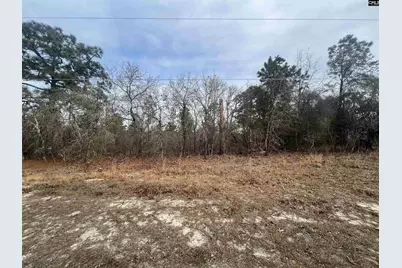 1986 Elgin Drive, Elgin, SC 29045 - Photo 1