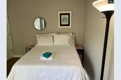 158 Flinchum Place, Lexington, SC 29073 - Photo 6