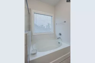 216 White Torpedo Way, Lexington, SC 29072 - Photo 36