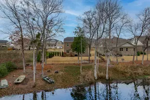 216 White Torpedo Wy, Lexington, SC 29072 - Photo 50