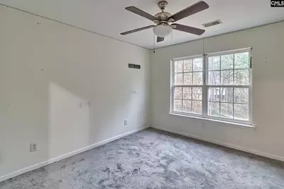 18 Persimmon Wood Court, Irmo, SC 29063 - Photo 26