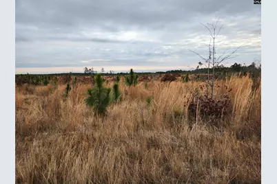 Tract 1 Park Road #1, Cassatt, SC 29032 - Photo 2