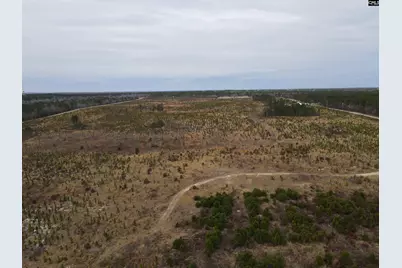 Tract 21 Holland Lane #21, Camden, SC 29020 - Photo 8