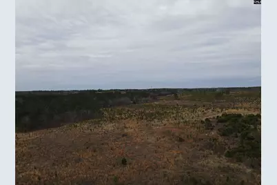 Tract 19 Holland Road #19, Camden, SC 29020 - Photo 6