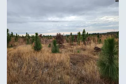 Tract 8 Park Road #8, Cassatt, SC 29032 - Photo 2