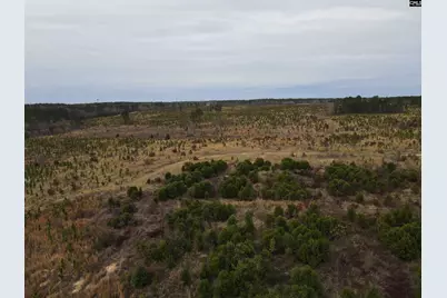 Tract 8 Park Road #8, Cassatt, SC 29032 - Photo 6