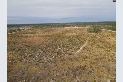 Tract 9 Park Road #9, Cassatt, SC 29032 - Photo 10