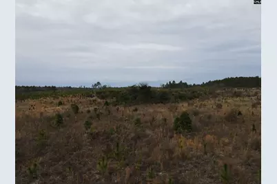 Tract 15 Holland Lane #15, Camden, SC 29020 - Photo 4