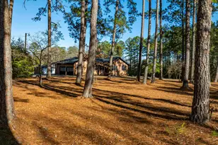 169 Lake Tide Dr, Chapin, SC 29036 - Photo 50