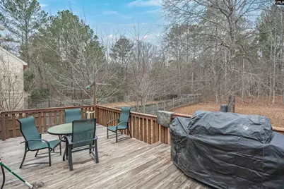 321 Concord Place Road, Irmo, SC 29063 - Photo 10