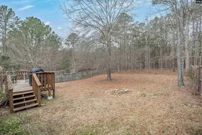 321 Concord Place Road, Irmo, SC 29063 - Photo 4