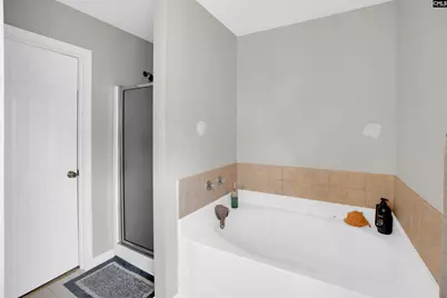 321 Concord Place Road, Irmo, SC 29063 - Photo 18