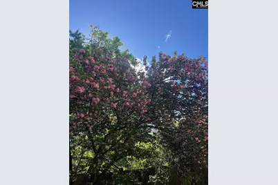 3800 Kilbourne Hill Road, Columbia, SC 29205 - Photo 74