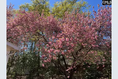 3800 Kilbourne Hill Road, Columbia, SC 29205 - Photo 76