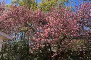 3800 Kilbourne Hill Rd, Columbia, SC 29205 - Photo 76