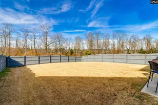 709 Pink Rose Ln, Elgin, SC 29045 - Photo 2