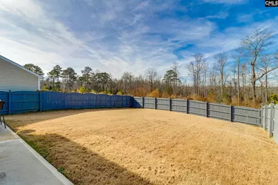 709 Pink Rose Lane, Elgin, SC 29045 - Photo 4