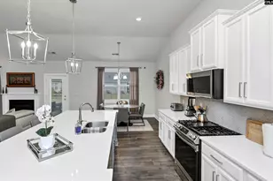 208 Doe Mdw Ln, Elgin, SC 29045 - Photo 10