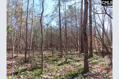 0 Cook Road, Ridgeway, SC 29130 - Photo 36