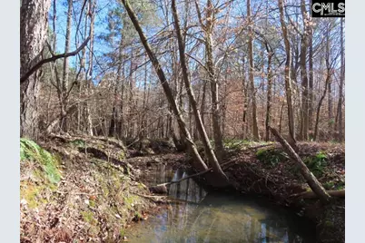 0 Cook Road, Ridgeway, SC 29130 - Photo 6