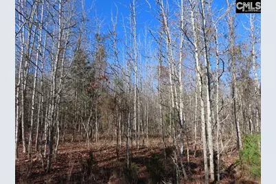 0 Cook Road, Ridgeway, SC 29130 - Photo 32