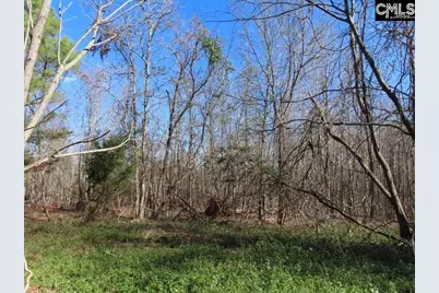 0 Cook Road, Ridgeway, SC 29130 - Photo 24