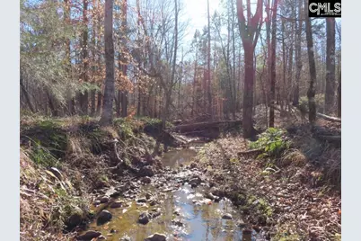 0 Cook Road, Ridgeway, SC 29130 - Photo 12