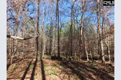0 Cook Road, Ridgeway, SC 29130 - Photo 38