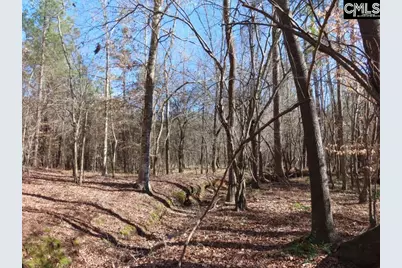 0 Cook Road, Ridgeway, SC 29130 - Photo 42