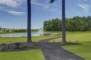 313 Babcock Wy, Gilbert, SC 29054 - Photo 44