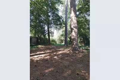 210 Pineland Drive, Beech Island, SC 29842 - Photo 16