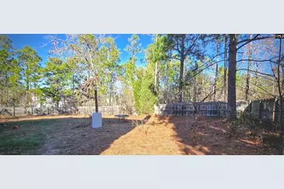 404 Hidden Pines Road, Columbia, SC 29229 - Photo 34