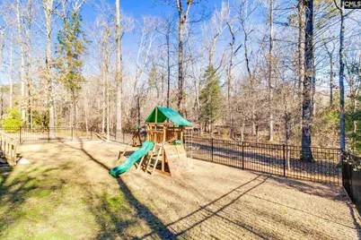 380 Bent Oak Dr, Chapin, SC 29036 - Photo 8