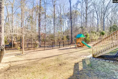 380 Bent Oak Dr, Chapin, SC 29036 - Photo 34