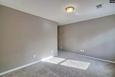 301 Massey Circle, Chapin, SC 29036 - Photo 24