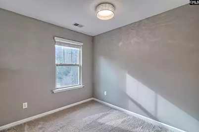 301 Massey Circle, Chapin, SC 29036 - Photo 18