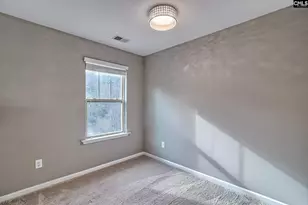 301 Massey Cir, Chapin, SC 29036 - Photo 18