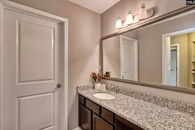 301 Massey Circle, Chapin, SC 29036 - Photo 26
