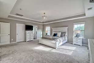 301 Massey Cir, Chapin, SC 29036 - Photo 16